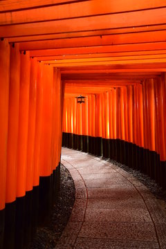 鳥居トンネル2