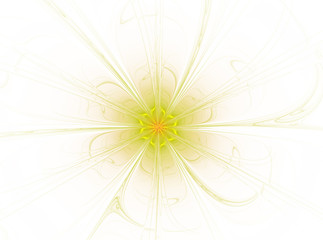 Beautiful abstract fractal flower