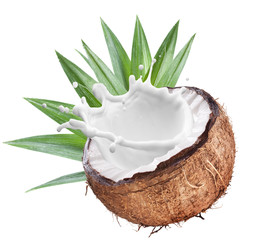 Coconut with milk splash inside.