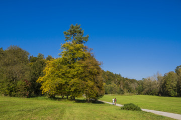 Fototapeta na wymiar Herbstwanderung durch die Maisinger Schlucht nahe München