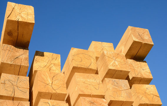 Wooden Boards Stacked At The Timber Yard