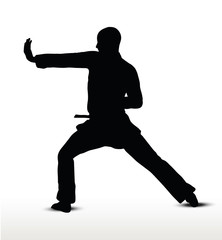 Fototapeta na wymiar karate silhouette
