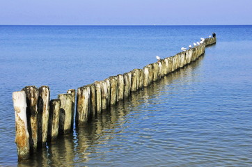 Dievenow Strand, #6162