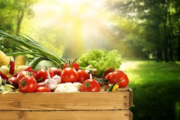 Store enrouleur Légumes des légumes