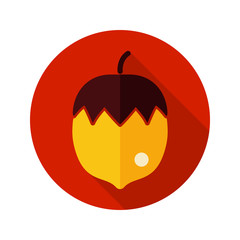 Nut flat icon with long shadow