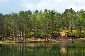 Fototapeta na wymiar Pines on lake