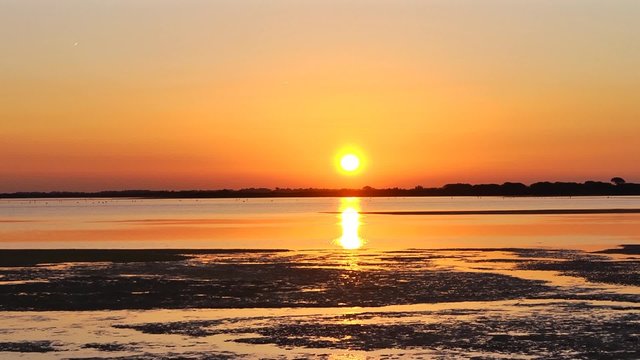 Lever de soleil en Camargue