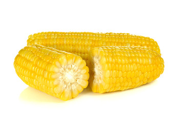 Sweet corn isolated on white background