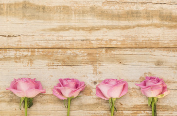 Fototapeta na wymiar Rosen Rosa Blumen auf Shabby Chic Holz Hintergrund