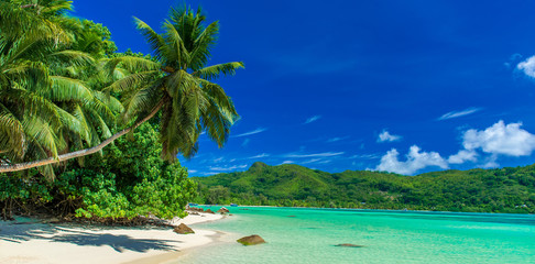 Anse a La Mouche - Paradise beach in Seychelles, Mahe - obrazy, fototapety, plakaty