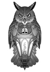 Owl - Gufo