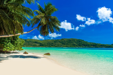 Fototapeta na wymiar Anse a La Mouche - Paradise beach on tropical island in Seychelles, Mahe