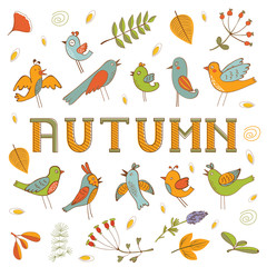Autumn set with birds, flowers and leaves