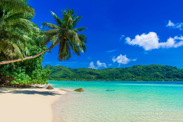 Obraz na płótnie Canvas Anse a La Mouche - Paradise beach in Seychelles, Mahe