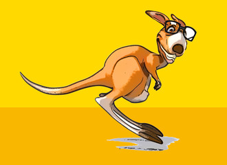 Fun kangaroo