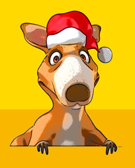 Fun kangaroo © Julien Tromeur