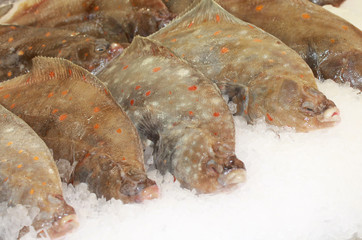 plie © gribouilleeva