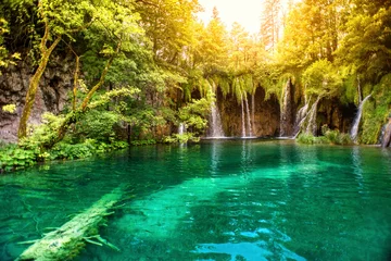  Nature wonderland, lake waterfall in national park on a sunny summer day with sunlight. Waterfalls in deep forest, plitvice national park © aboutmomentsimages