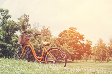 Fototapeta na wymiar bicycle in green park