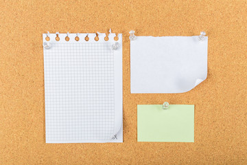 Fototapeta premium Corkboard, sticky notes