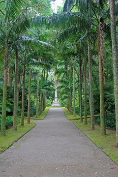 Azoren sao miguel portugal 