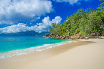 Fototapeta na wymiar Anse Soleil - Paradise beach on tropical island Mahé