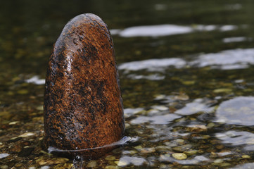 Agua y vida