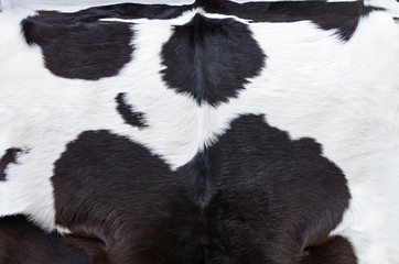 black and white cow hide