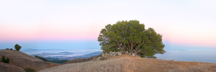 Sunset view from the top of Mt Tam in Marin County, California