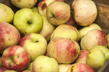 Organic apples on old vintage weathered wooden crate closeup