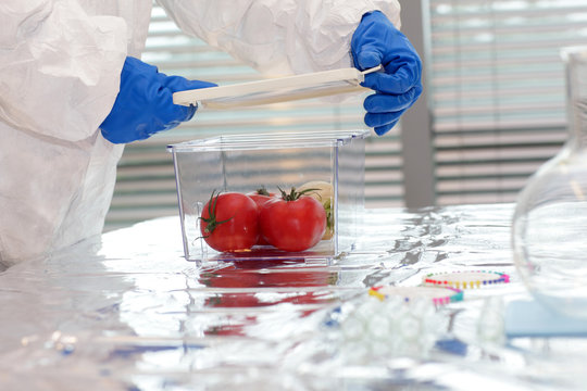 Scientist dressed in protective gear working with vegetabkes in lab - close up