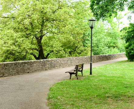 Bench In The Green Park With Beautiful View.