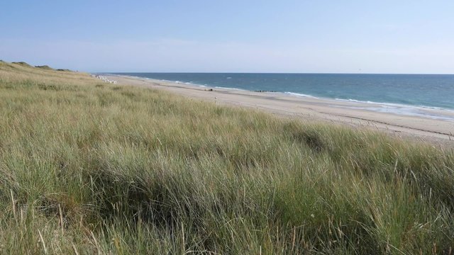 Dünen Strand Nordsee
