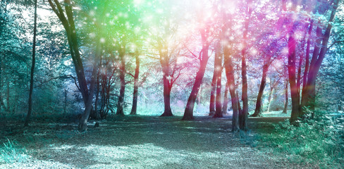 Magical Spiritual Woodland Energy Background - Jade blue colored woodland scene with rainbow...