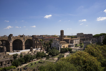 Fototapeta na wymiar Roman Forums