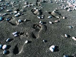 следы на песке