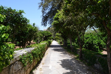 Hastings Garden in Malta