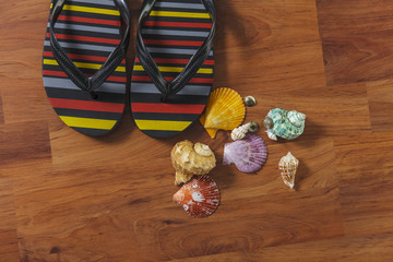 Slipper with seashell