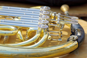 French horn background