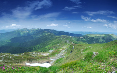 Naklejka premium misty morning mountainside (Carpathian Mt's, Ukraine)