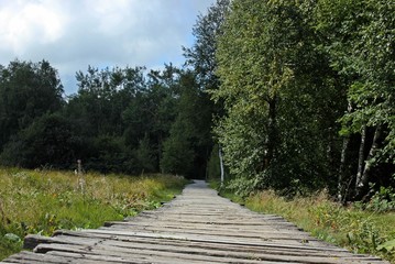 Fototapeta na wymiar Holzbohlenweg durch das Schwarze Moor in der Rhön 