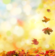 Naklejka na ściany i meble autumn background with falling leaves