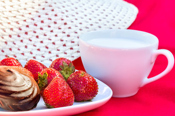 Lunch in the garden on a sunny summer day