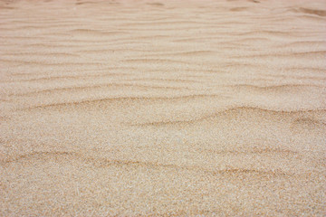 Obraz na płótnie Canvas Sand Background