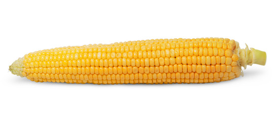 Purified ear of corn