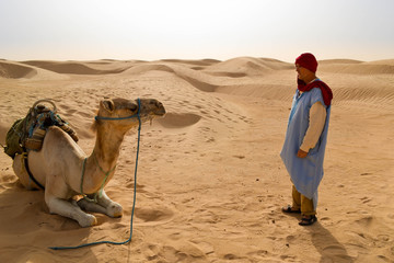A man and a camel in the Sahara desert