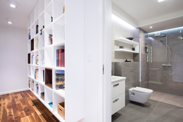 New bookcase and bathroom interior