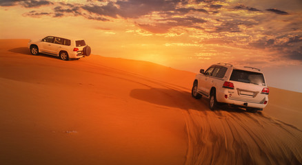 Naklejka premium Dubai Desert
