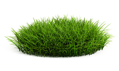 Round patch of fresh grass isolated on white