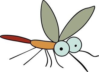 mosquito